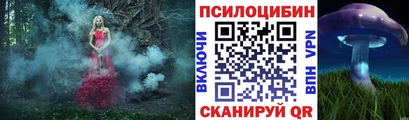 где найти наркотики  Дятьково  Псилоцибиновые грибы прущие грибы 